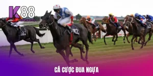 ca-cuoc-dua-ngua