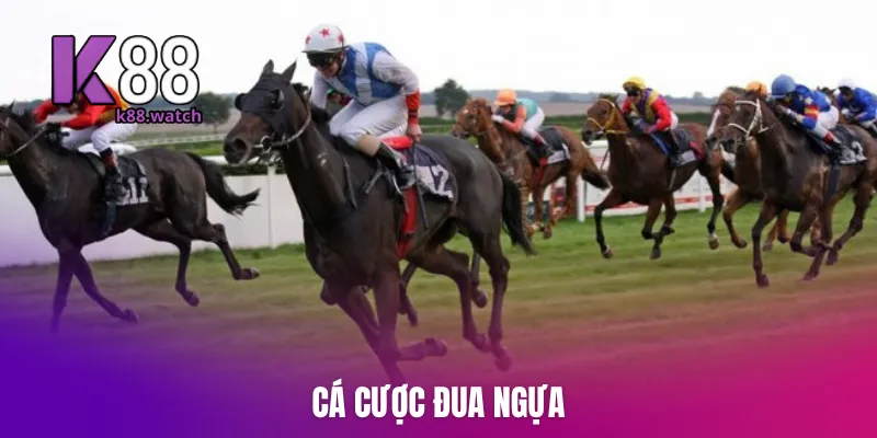 ca-cuoc-dua-ngua