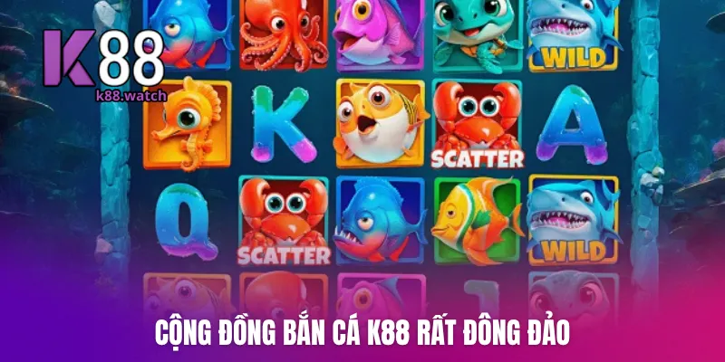 Cộng đồng bắn cá K88 rất đông đảo