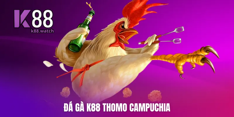 Đá gà K88 Thomo Campuchia 