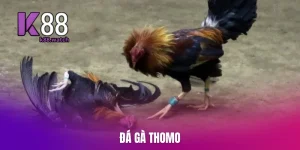 da-ga-thomo (3)