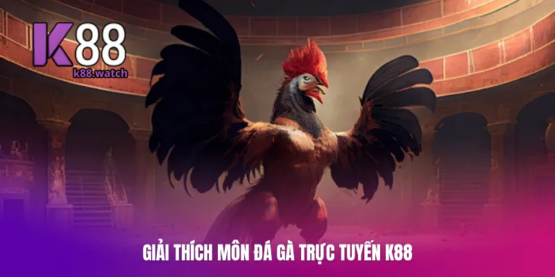 Giải thích môn đá gà trực tuyến K88