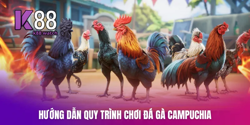 Hướng dẫn quy trình chơi đá gà Campuchia