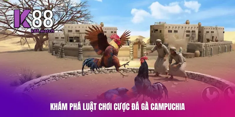 Khám phá luật chơi cược đá gà Campuchia