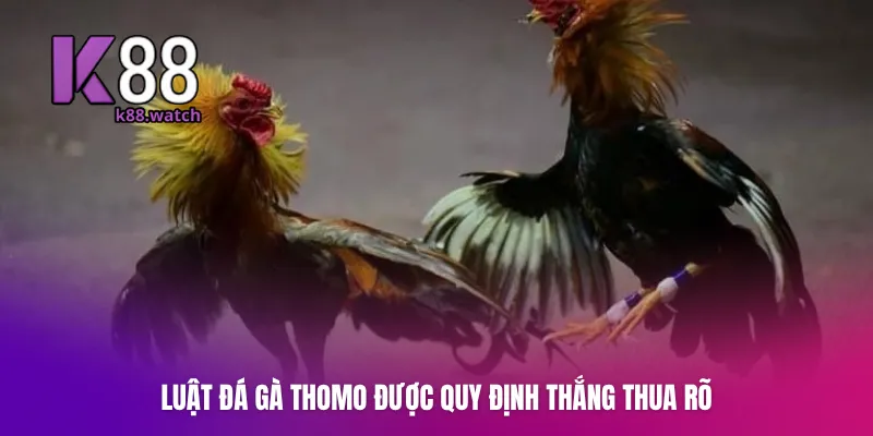 Trọng tài là người ra quyết định cuối cùng