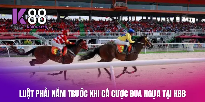 Luật phải nắm trước khi cá cược đua ngựa tại K88