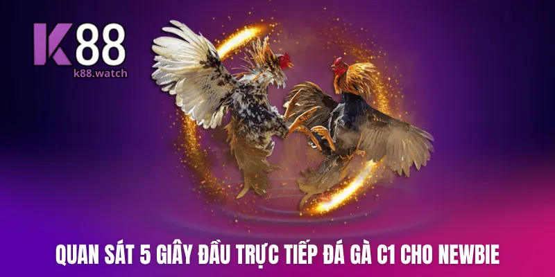 Quan sát 5 giây đầu trực tiếp đá gà c1 cho newbie