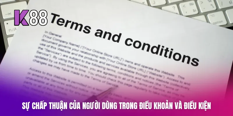 Sự chấp thuận của người dùng trong điều khoản và điều kiện