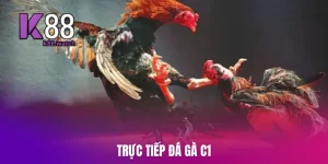 truc-tiep-da-ga-c1