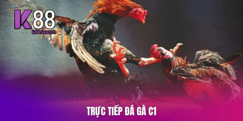 truc-tiep-da-ga-c1